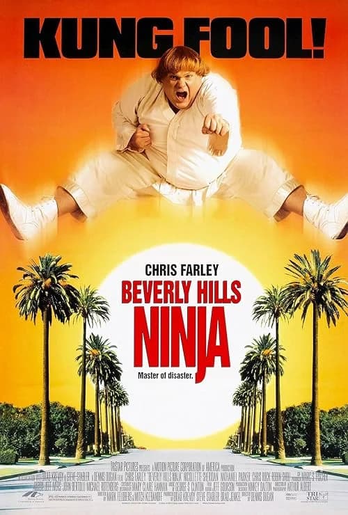 Beverly Hills Ninja film posteri