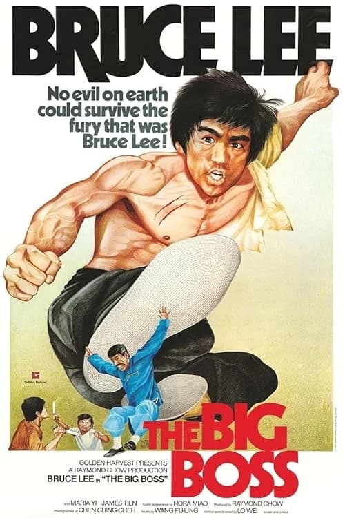 The Big Boss film posteri